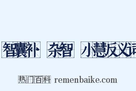 智囊补·杂智·小慧反义词是什么意思的图片